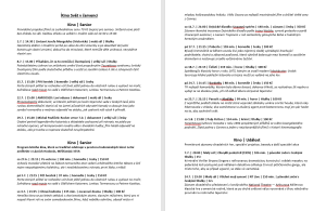 program
