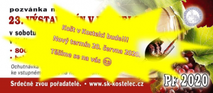 Košt vína